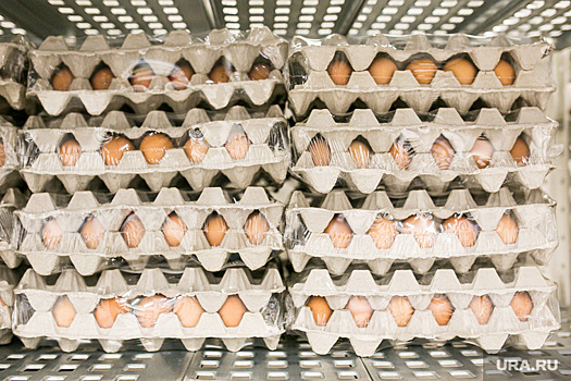 Производители предупредили о дефиците куриных яиц в России