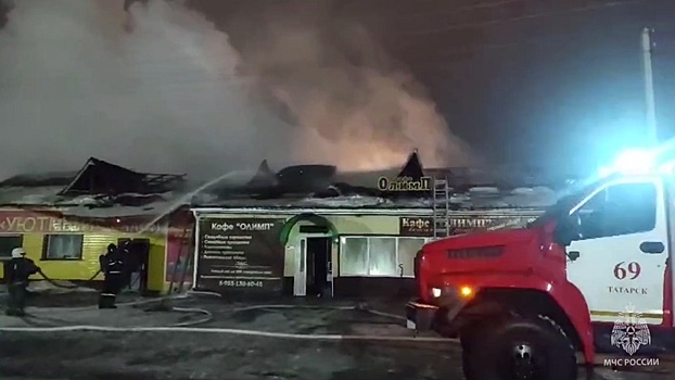 В Новосибирской области сотрудники МЧС ликвидировали пожар в кафе