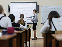 В российский школах появятся распознающие людей с оружием камеры