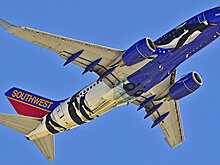 Самолет Southwest Airlines экстренно сел в Огайо