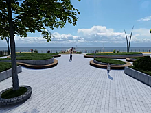 Туристам в Зеленоградске скамейки заменили на «стоячие лежаки»