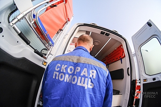 Участница конкурса «Мисс Вселенная» из России погибла в ДТП с лосем