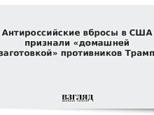 Антироссийские вбросы в США признали «домашней заготовкой» противников Трампа