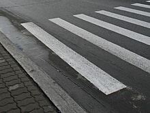 Виновницей ДТП во Владивостоке оказалась сотрудница Приморского океанариума