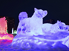 Ледовых дел мастера из разных уголков страны стали победителями ямальского конкурса