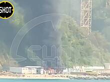 Мощный пожар на пляже в Краснодарском крае попал на видео