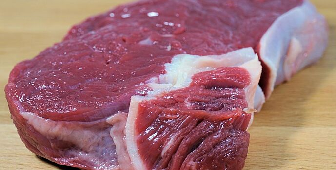 Антибиотики и кишечную палочку нашли в мясе в донском учреждении соцобслуживания