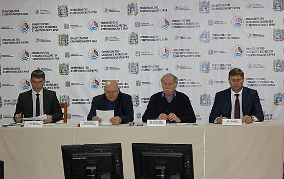 Рост озимого рапса в Ставропольском крае сдерживали ретардантами в этом сезоне