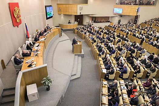 Законопроект «Единой России» о защите минимального гарантированного дохода должников поддержали депутаты