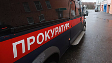 В прокуратуре Волгоградской области прокомментировали ситуацию с гибелью сомов