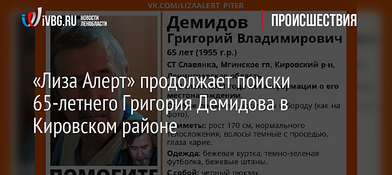 «Лиза Алерт» продолжает поиски 65-летнего Григория Демидова в Кировском районе