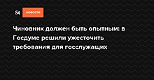 Чиновник должен быть опытным: в Госдуме решили ужесточить требования для госслужащих — Daily Storm