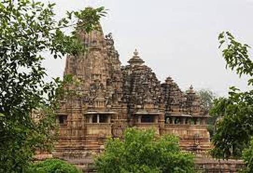 Индусы отметили День святого Валентина собачьими поцелуями