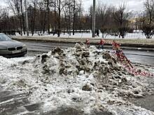 Художник Тихомиров высмеял халатность коммунальщиков Петербурга ироничной иллюстрацией