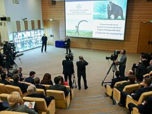 Незаконный оборот кости и бивней мамонта составляет миллиарды рублей ежегодно