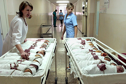 В Новосибирской области количество квот на ЭКО выросло почти вдвое за три года