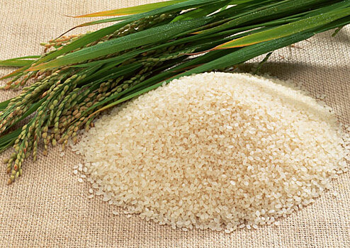 Рис помогает от главных хронических болезней