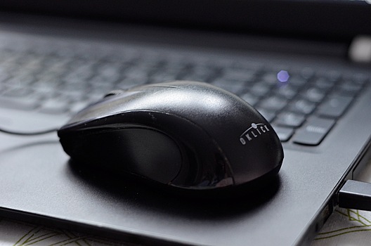 Онлайн-лекция «Финансовая безопасность школьника» пройдет в психолого-педагогическом университете