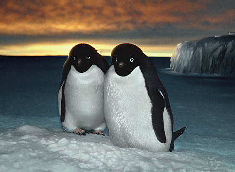 В Антарктиде нашли огромную колонию пингвинов