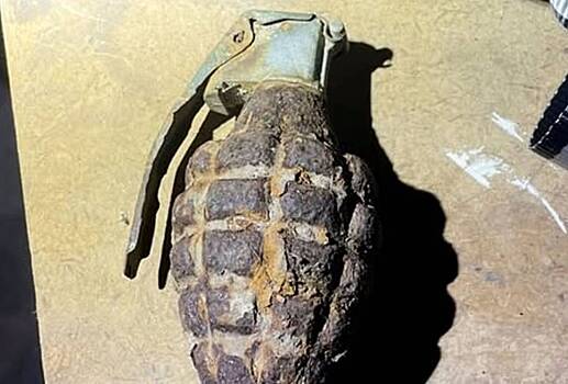 Трехлетний мальчик вернулся с прогулки с боевой гранатой