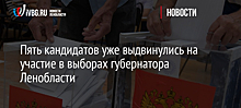 Дрозденко подал документы на участие в выборах губернатора Ленинградской области