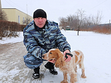 Тамбовский кинолог и его служебная собака установили местонахождение двух тайников с 10 кг синтетического наркотика