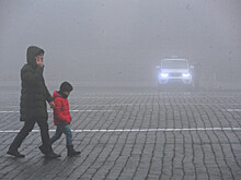 Прячет ли туман от камер нарушения ПДД