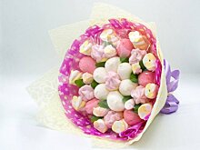 Инвестор вложит 800 млн рублей в новое предприятие в Солнечногорске