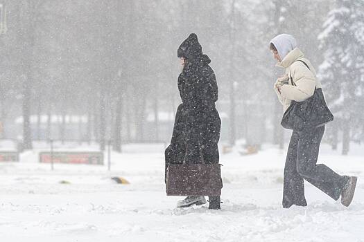 Москвичам назвали срок завершения снегопада