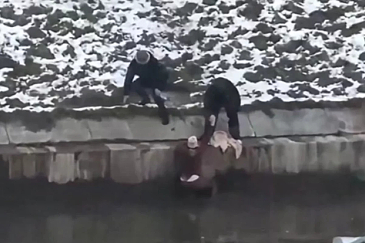 В Петербурге прохожая спасла упавшего в воду ребёнка