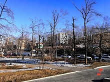 Морозы отступают: стало известно, когда в Приморье начнется метеорологическая весна