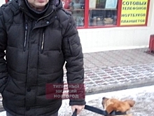 На Автозаводе неизвестный отлавливает бездомных собак брючным ремнём