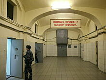 Порядок передачи осужденных иностранцев на родину уточнят