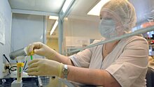 В Приморье отмечено более 100 случаев свиного гриппа