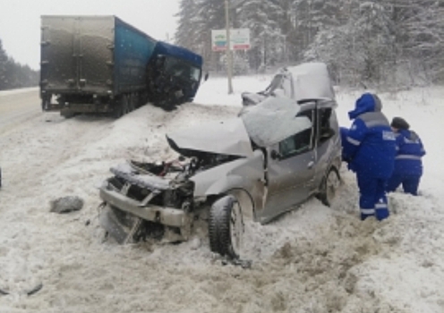 В Пензенской области из-за снегопада в двух ДТП с фурами погибли люди
