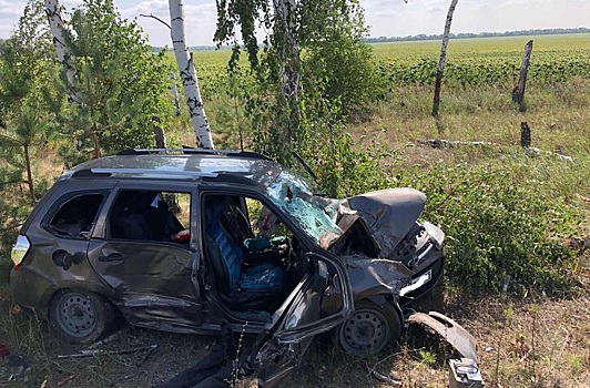 Водитель погиб, женщина в больнице: в Самарской области «Лада Калина» съехала в кювет