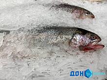 Нерестовый запрет в Ростовской области действует до 31 мая