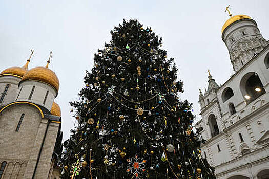 Столяр Фараджуллаев: из главной новогодней елки России нельзя изготовить шахматы