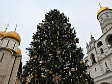 Столяр Фараджуллаев: из главной новогодней елки России нельзя изготовить шахматы