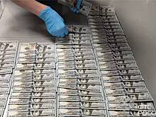 Прибывшую из Грузии россиянку задержали из-за долларов наличными в аэропорту