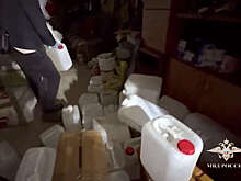 МВД показало видео из квартиры подозреваемой по делу отравления в Ленобласти