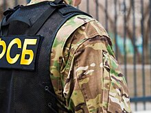 В Петербурге задержана пособница Украины, собиравшая данные о военных