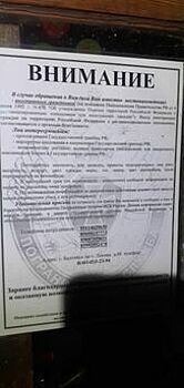 «Вдруг он какой-то шпион?»: жительница Балткосы рассказала, как помогла поймать британца, пробиравшегося к границе