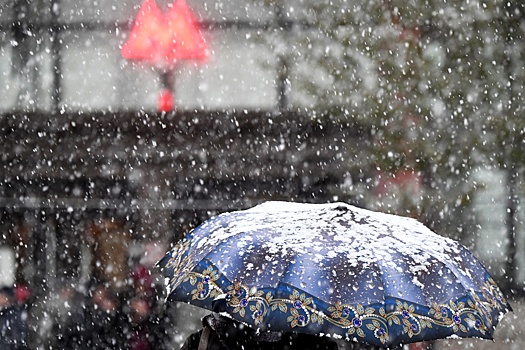 Синоптик "Фобоса" Тишковец: Москву вечером 26 ноября накроет "черная метель"