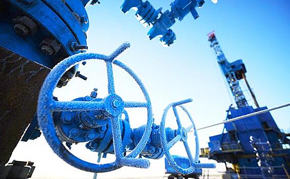 Ямал покажет Европе, что такое настоящая тундра в квартире