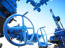 Ямал покажет Европе, что такое настоящая тундра в квартире