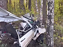 Люди погибли из-за врезавшегося в дерево автомобиля в Перми