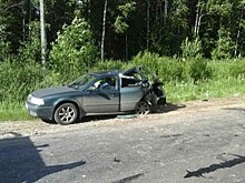 Нашелся 10-летний мальчик, ДТП с шестью пострадавшими, борьба с потопом в Вытегре и другие новости дня