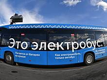 Электробус врезался в дерево на северо-востоке Москвы, есть пострадавшие