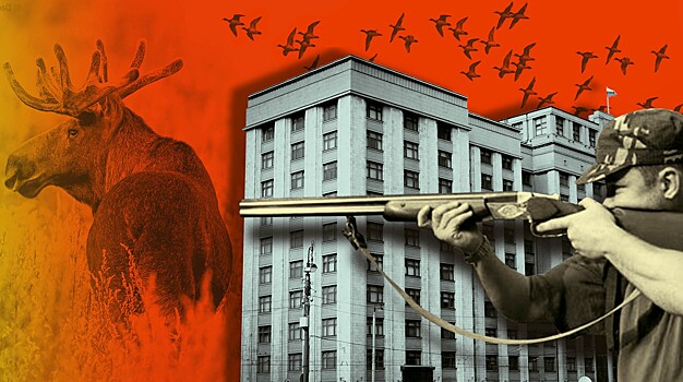 На расстоянии вытянутого ствола. В России разрешили охоту на сельхозземлях вблизи сел